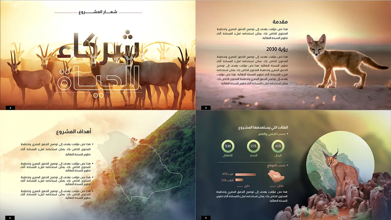 BAGOUSH_Presentation_P12