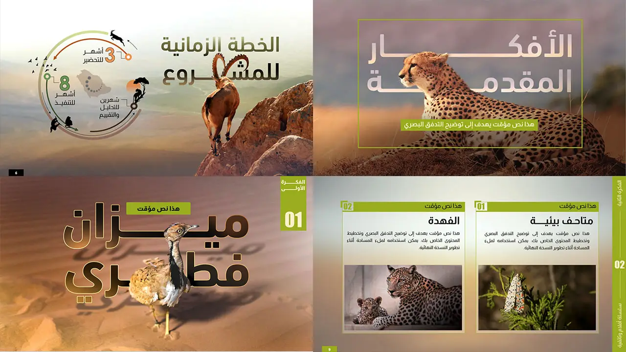 BAGOUSH_Presentation_P13