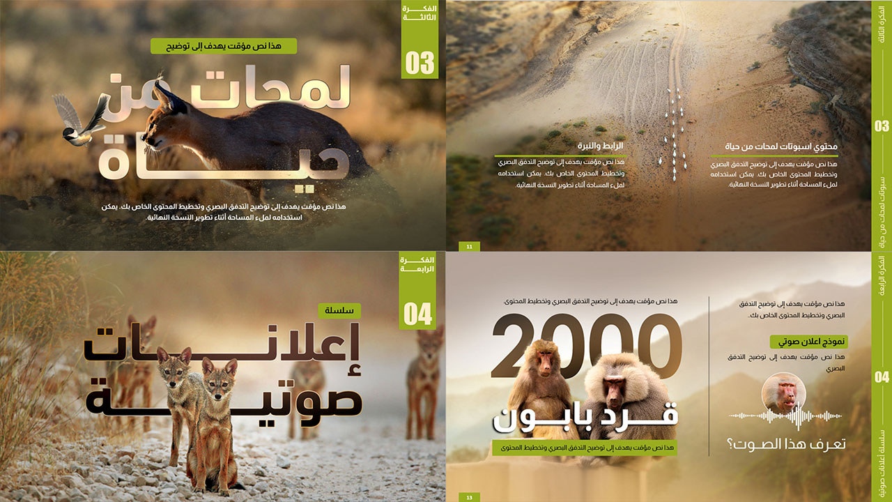 BAGOUSH_Presentation_P14