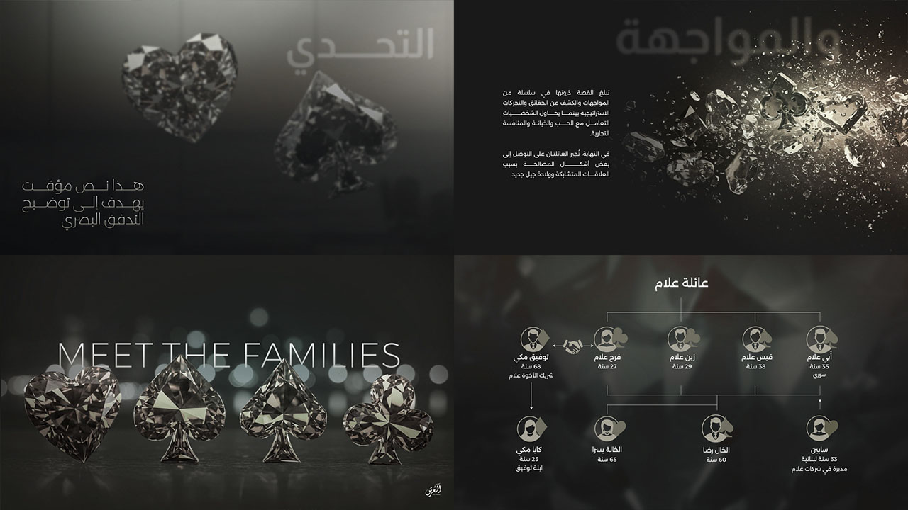 BAGOUSH_Presentation_P19